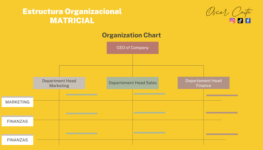 Estructura Organizacional de tipo Matricial | Oscar Caita 2022