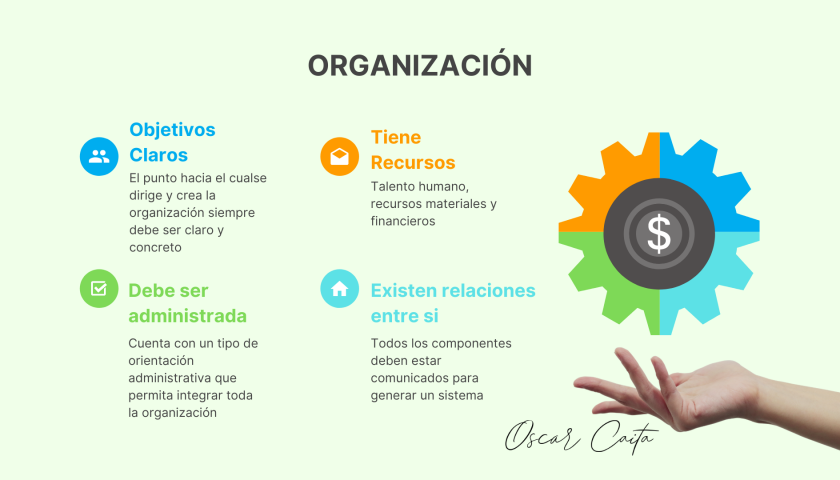 Que es una organización - Oscar Caita