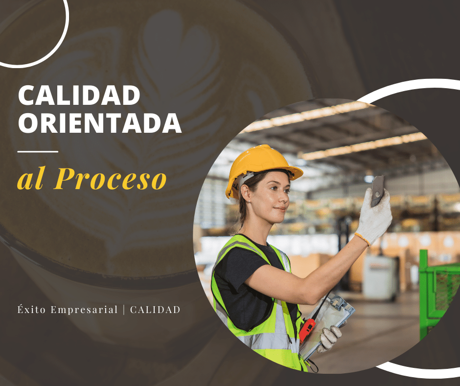 Calidad orientada al proceso