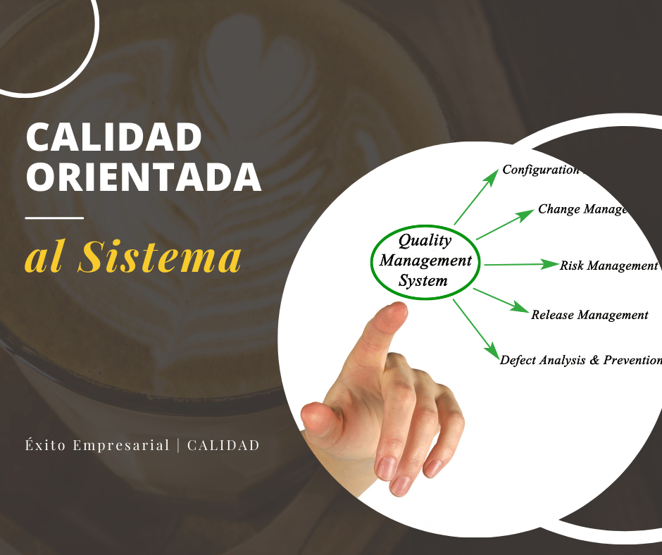 Calidad orientada al sistema