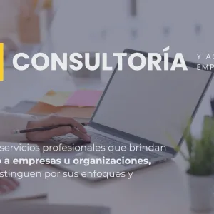 Consultoría y Asesoría